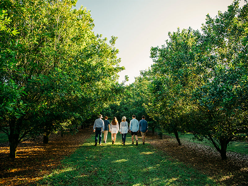 Contact Avilla Farm Avilla Farm